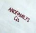 画像4: ANDFAMILY/Light Canvas L/S SH（イタリアンカラーネップシャツ）/ホワイト (4)