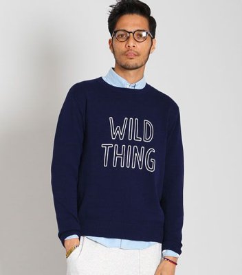 画像5: ☆70%OFF☆ DELUXE <デラックス> / THING(コットンニット) / ネイビー (5)