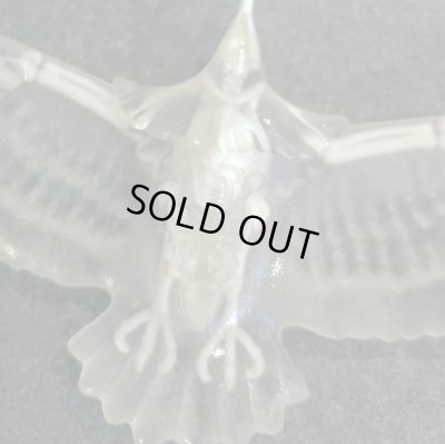 3D TOY FEATHER / 玉骨標本イーグル