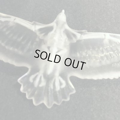 3D TOY FEATHER / 玉骨標本イーグル