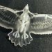 3D TOY FEATHER / 玉骨標本イーグル