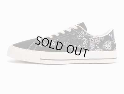 CONVERSE SKATEBOARDING / PRORIDE SK PS OX