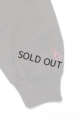 RECOGNIZE / ELEMENTS OF STYLE "Funk INC" LS