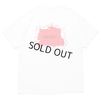 RECOGNIZE / WILD STYLE TEE