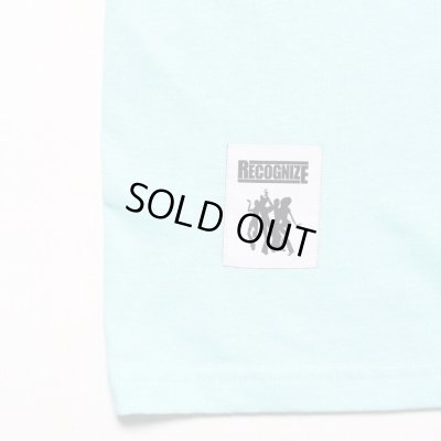 RECOGNIZE / RECOGNIZE THE CAT LS
