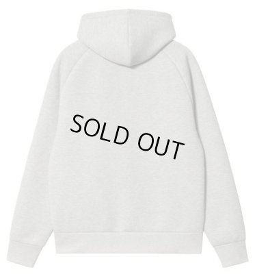 CARHARTT WIP / LIGHT-LUX HOODED JACKET