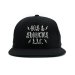 40s & Shorties / OG Script Logo Hat