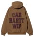 CARHARTT WIP / HOODED WILES SWEATSHIRT