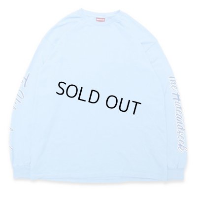 画像2: HIDE AND SEEK <ハイドアンドシーク> / TEAM L/S TEE <23AW>(ロングスリーブTシャツ) / サックス (2)