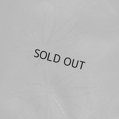 HUF / PLANTLIFE HOODED ZIP JACKET