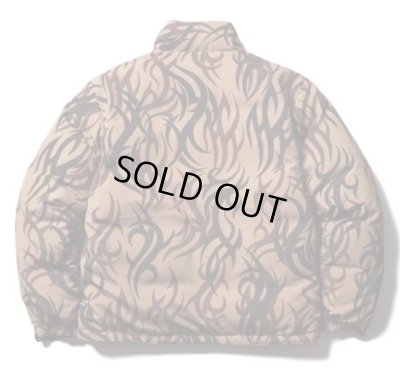 SOFTMACHINE / TRIBE DOWN JK