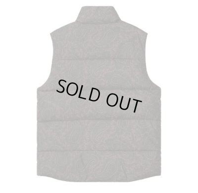 CARHARTT WIP / SPRINGFIELD VEST