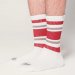 BEDWIN & THE HEARTBREAKERS / 2 PcsPACK LINE SOCKS "LARRY"