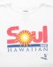 RECOGNIZE / HAWAIIAN SOUL BB CS