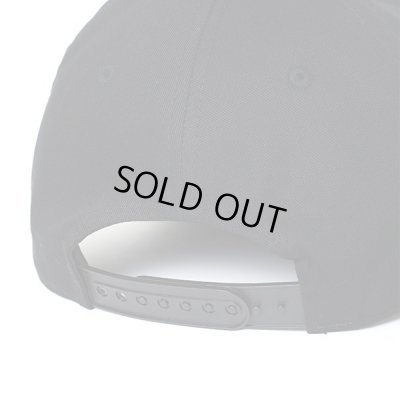 CHALLENGER / WOLF FIELD CAP