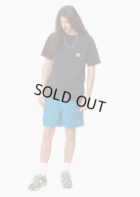 CARHARTT WIP / CHASE SWIM TRUNKS