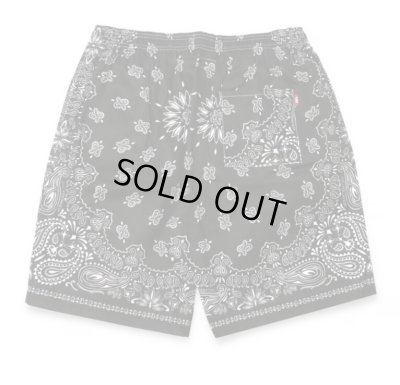 HIDE AND SEEK / Bandana Pattern Short(24ss)