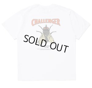 CHALLENGER L/S HIBISCUS TEE CLG-TS 024-012 公式通販