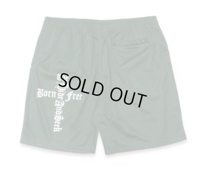 HIDE AND SEEK / The H&S Mesh Short