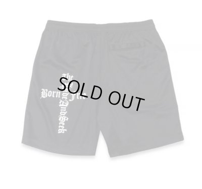 HIDE AND SEEK / The H&S Mesh Short