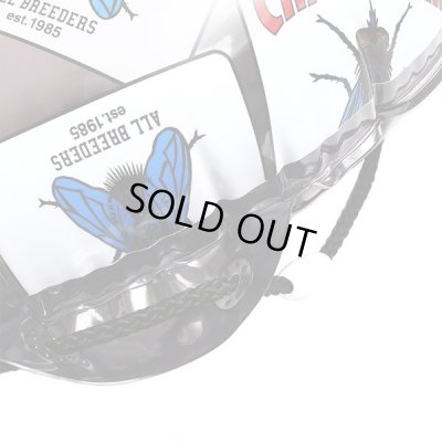 CHALLENGER / FLY SWIM RING