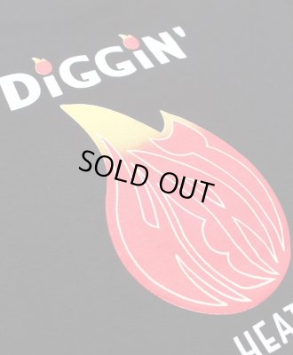 RECOGNIZE / DIGGIN' HEAT LS