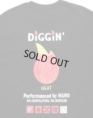 RECOGNIZE / DIGGIN' HEAT LS