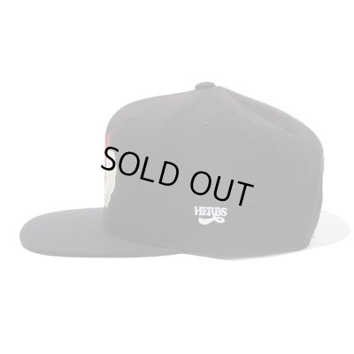 RULER / HERBS INDI 6PANEL SBC