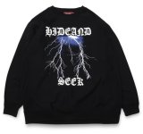 Tiger L/S Tee(Back) ロングスリーブTシャツ-ハイドアンドシーク