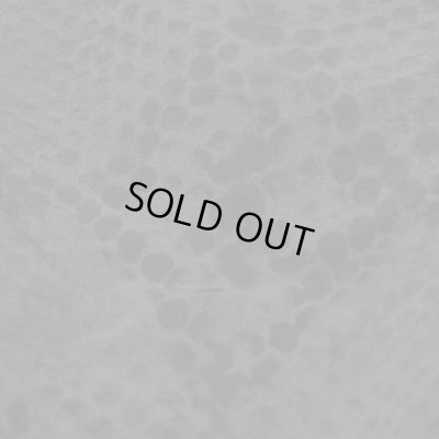 BUENA VISTA / TRAINING PANTS PYTHON