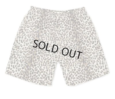 HIDE AND SEEK / Panther Short