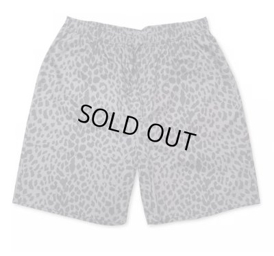 HIDE AND SEEK / Panther Short
