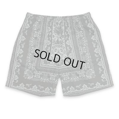 HIDE AND SEEK / Bandana Pattern Short