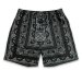 HIDE AND SEEK / Bandana Pattern Short