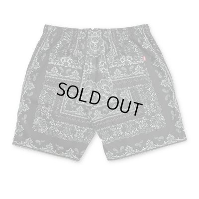 HIDE AND SEEK / Bandana Pattern Short