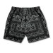 HIDE AND SEEK / Bandana Pattern Short