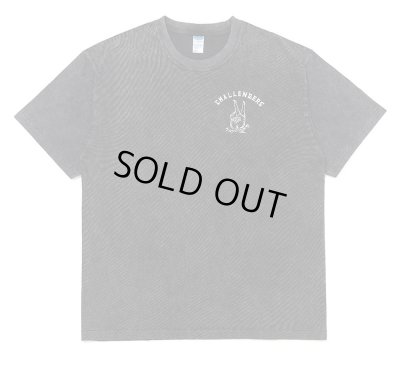 CHALLENGER / PIGMENT PEACE TEE