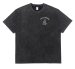 CHALLENGER / PIGMENT PEACE TEE