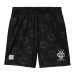 CARHARTT WIP / HARTT’S FOOTBALL SHORT