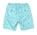 CHALLENGER / SPLATTER MARINE SHORTS