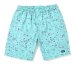 CHALLENGER / SPLATTER MARINE SHORTS