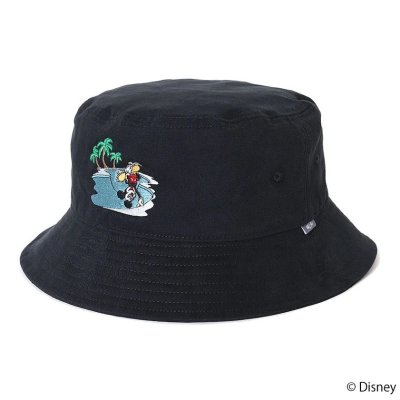 CHALLENGER / MICKEY MOUSE / HAND PLANT HAT