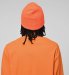 RECOGNIZE / DIGGIN' DONUTS BEANIE