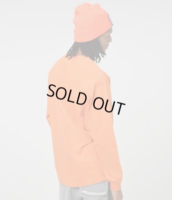 RECOGNIZE / DIGGIN' DONUTS LS