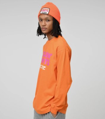 RECOGNIZE / DIGGIN' DONUTS LS