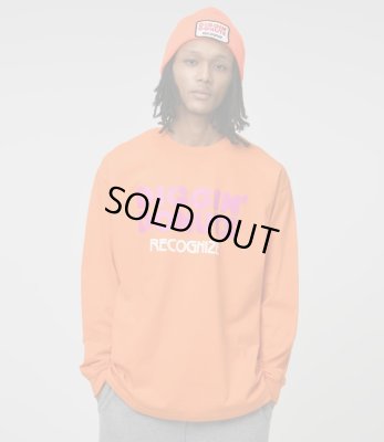 RECOGNIZE / DIGGIN' DONUTS LS