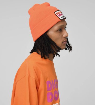 RECOGNIZE / DIGGIN' DONUTS BEANIE
