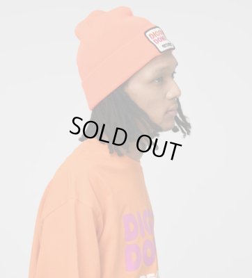 RECOGNIZE / DIGGIN' DONUTS BEANIE