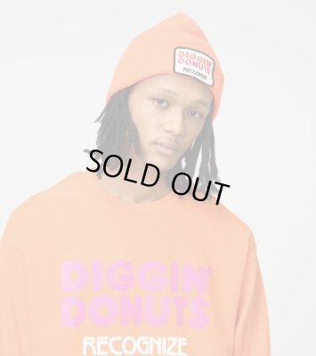 RECOGNIZE / DIGGIN' DONUTS BEANIE