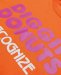 RECOGNIZE / DIGGIN' DONUTS LS